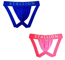 Load image into Gallery viewer, 2Pk Double Logo Jock (Blue/ Pink)